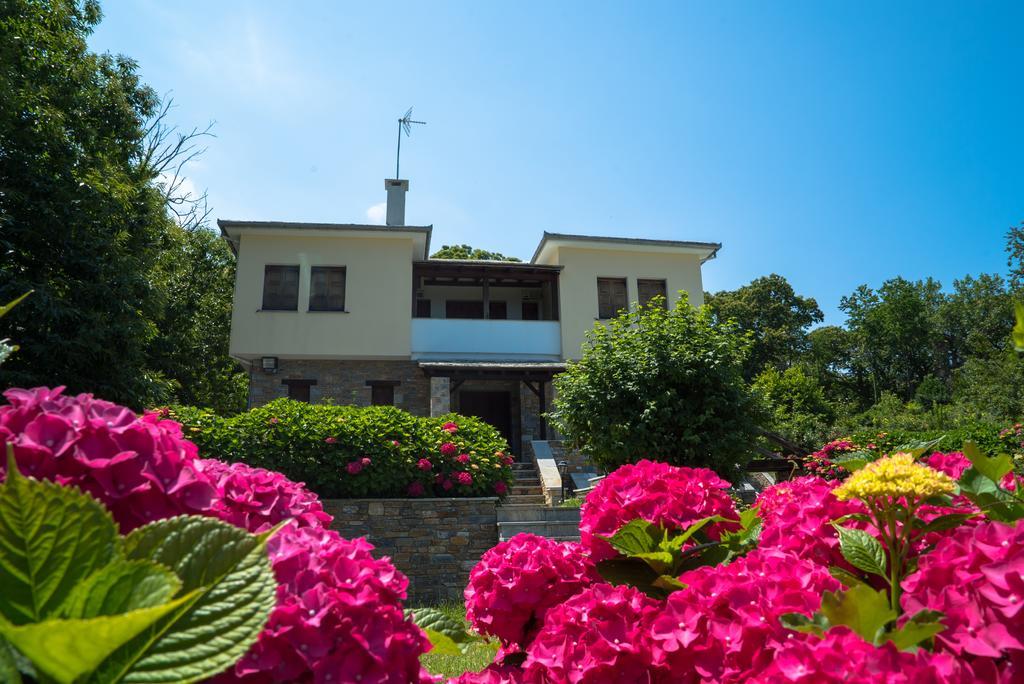 Luxury Villa With Pool In Tsagarada Exteriör bild
